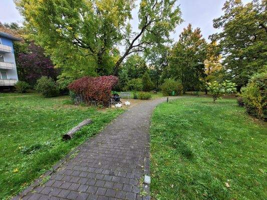 20251007_120147_resized