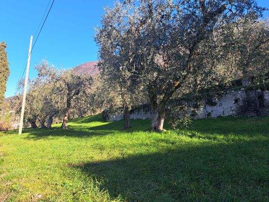 casolare a malcesine  (12).jpg