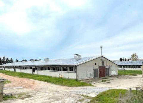 Zerbst/Anhalt Bauernhöfe, Landwirtschaft, Zerbst/Anhalt Forstwirtschaft