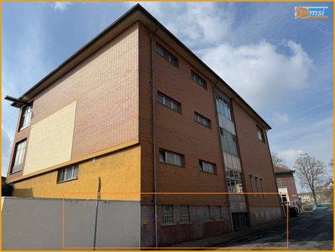 Alsfeld Halle, Alsfeld Hallenfläche