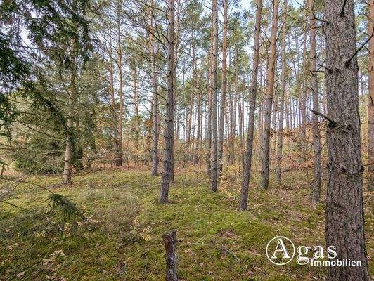 Impressionen vom Grundstück