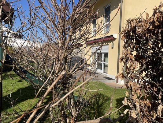 Südterrasse mit Markise