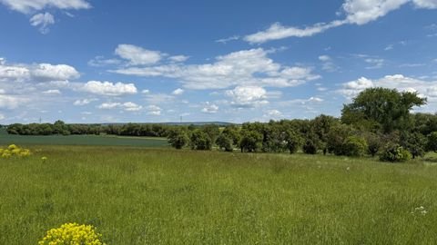 Arnstadt Grundstücke, Arnstadt Grundstück kaufen