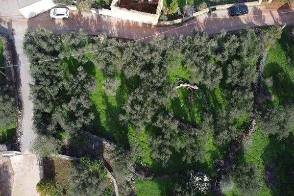 Kreta, Kokkino Chorio: Eckgrundstück in der Nähe des Dorfes und der Einkaufsmöglichkeiten zu verkaufen