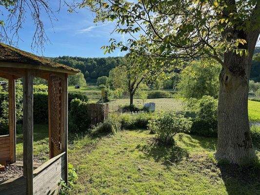 Blick in Vordergarten