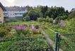 Gartengrundstück