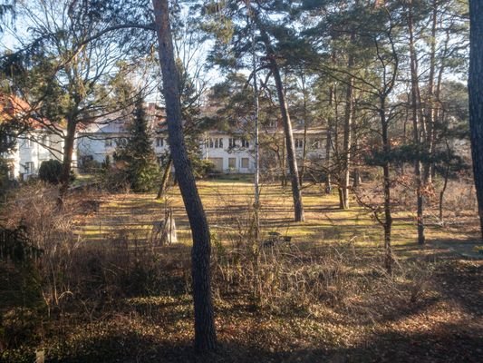 Blick in den Garten