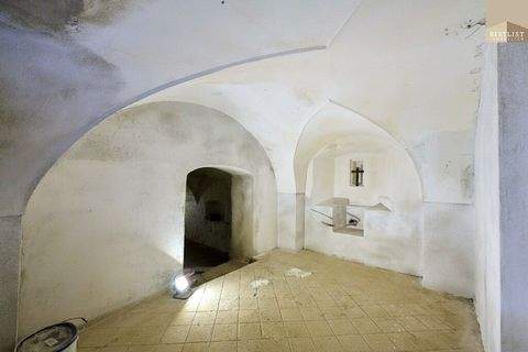 Pfaffstätten Halle, Pfaffstätten Hallenfläche