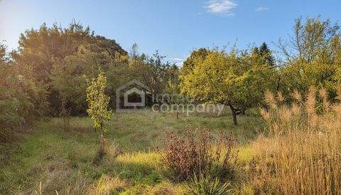 Bad Fischau-Brunn Grundstücke, Bad Fischau-Brunn Grundstück kaufen