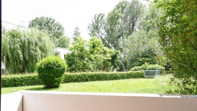 069 Ausblick (1 von 1)