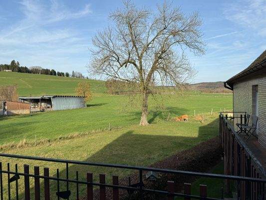 Ausblick Balkon Rückseite