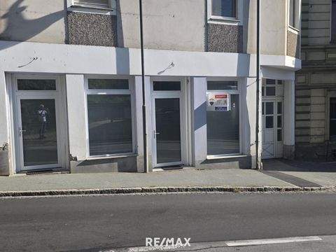 Wildon Halle, Wildon Hallenfläche