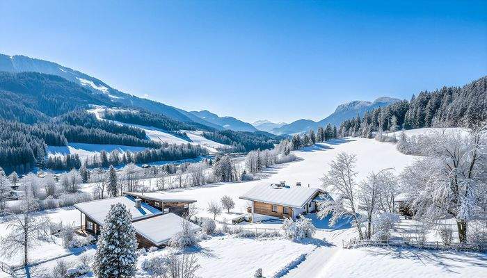 95ce2d6d-518a-49b5-b08c-3a9c8b307953-2