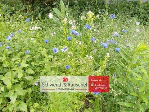 Schotten Grundstücke, Schotten Grundstück kaufen