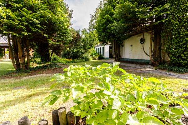 Haus mit Garten Sasel.jpg