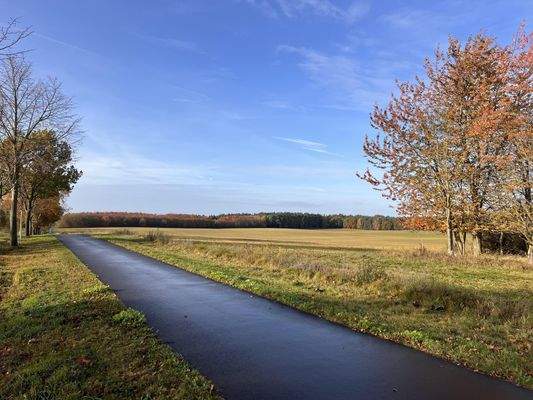 gut ausgebaute Fahrradwege