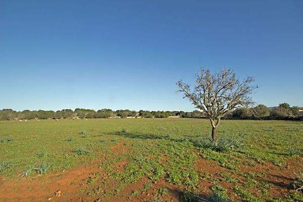 Grundstück kaufen in Santanyi