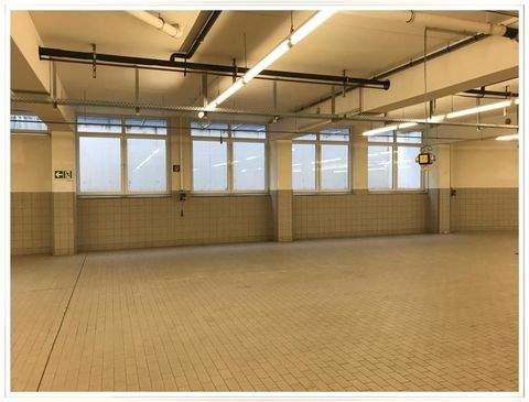 Nürnberg Halle, Nürnberg Hallenfläche