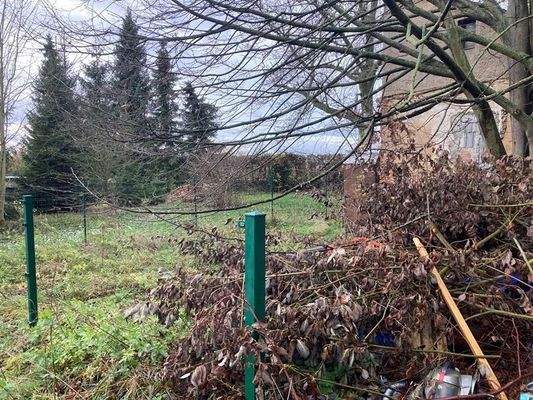 Iungepflegter Garten