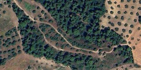 Chalkidiki Bauernhöfe, Landwirtschaft, Chalkidiki Forstwirtschaft