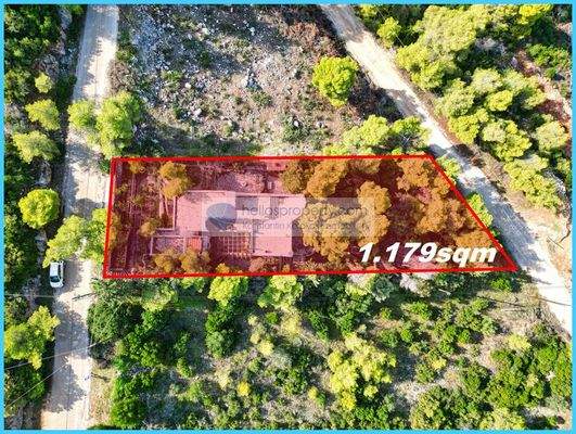 0e4982c36fce428f977b377ffa744e8a-original