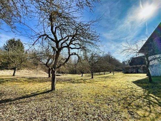 6.000 m² großes, traumhaftes Grundstück