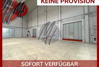 INFOS UNTER: 06171-586000