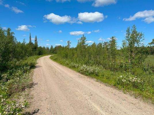Straße durch Wald.JPG