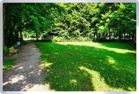 zurück in die Natur.jpg