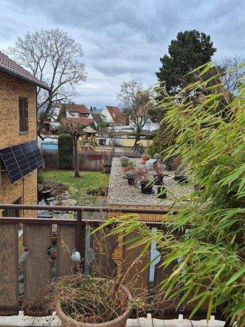 Lampertheim Häuser, Lampertheim Haus kaufen