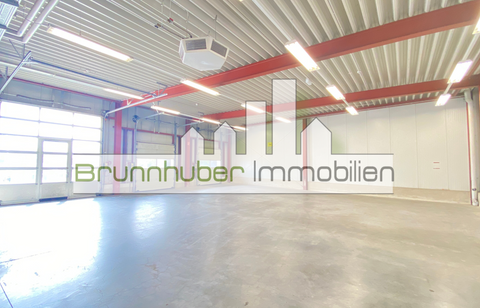 Schweinfurt Halle, Schweinfurt Hallenfläche
