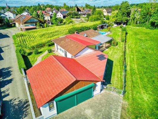 an Wiese und Bachlauf