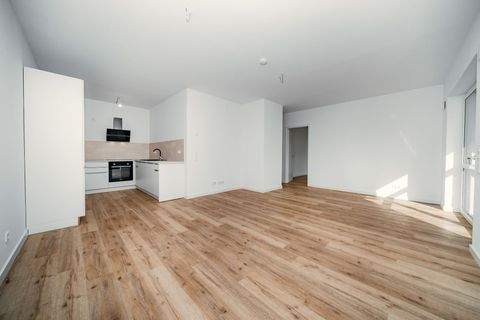 Wildeshausen Wohnungen, Wildeshausen Wohnung mieten