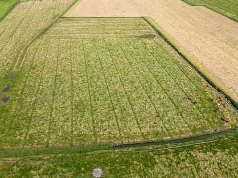 Sankt Peter-Ording Bauernhöfe, Landwirtschaft, Sankt Peter-Ording Forstwirtschaft