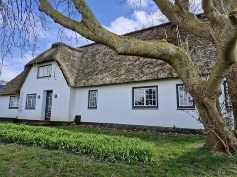 Neukirchen Häuser, Neukirchen Haus kaufen