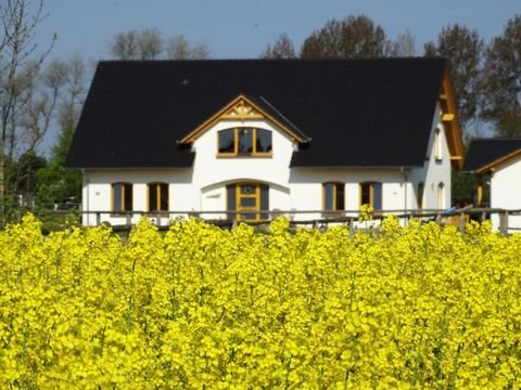 Altenpleen Häuser, Altenpleen Haus kaufen
