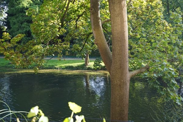 Ausblick von der Terrasse