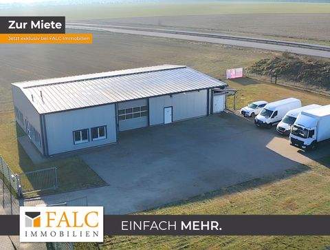 Banzkow Halle, Banzkow Hallenfläche