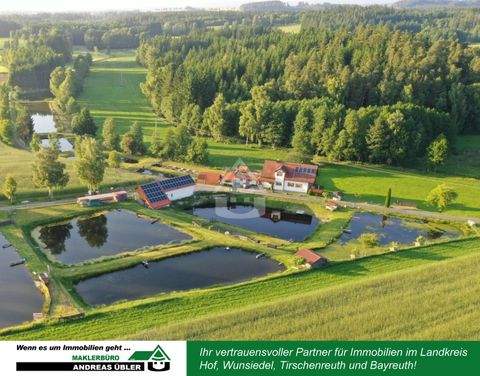 Plößberg / Geisleithen Häuser, Plößberg / Geisleithen Haus kaufen