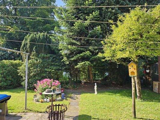 8 - Blick vom Haus in den Garten