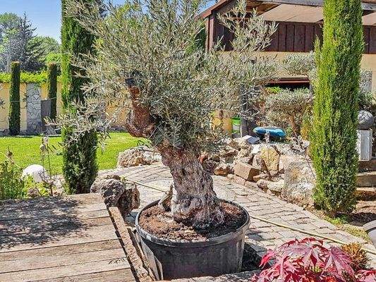 ... mit mediterranem Flair