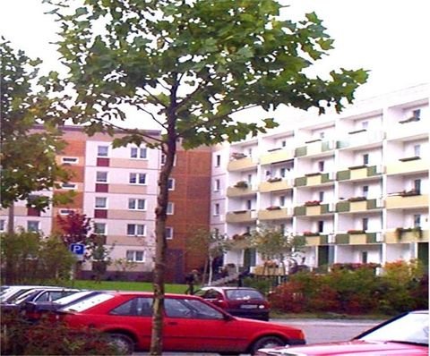 Magdeburg Wohnungen, Magdeburg Wohnung mieten