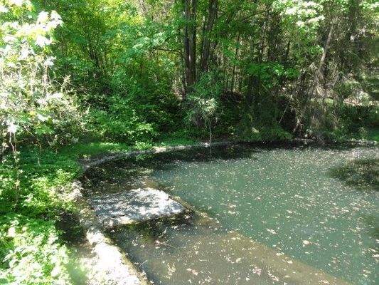 Außenbereich - Park