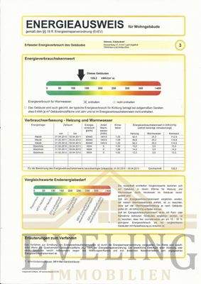 Energieausweis S. 3