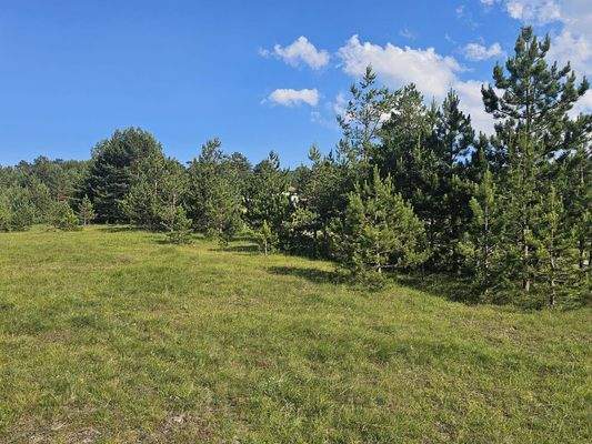 cefbac6c-4356-41fe-8b5f-2517fd723253