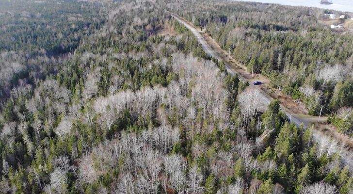 Cape Breton - Bras d`Or Lake - 18-Hektar-Areal in 