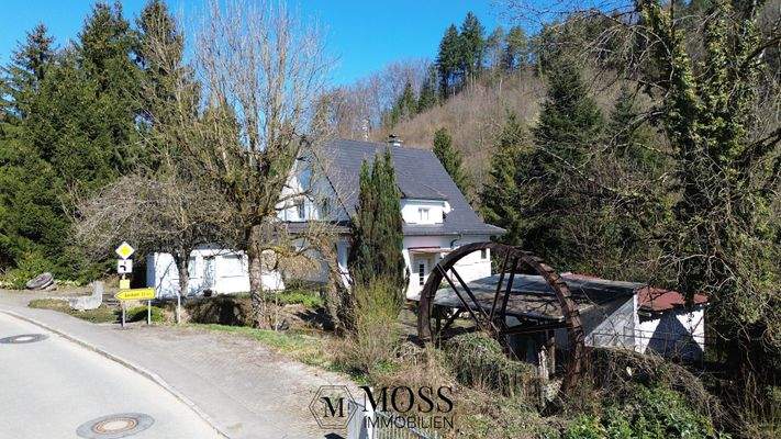 Ein Müller-Traum in weiss