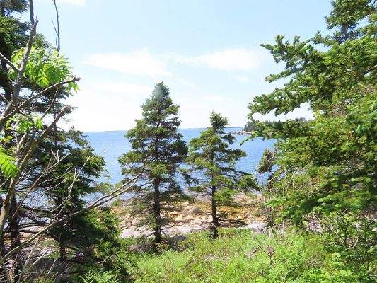 Nova Scotia - Grover?s Point - Wunderschönes Uferg