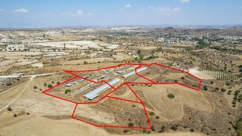 Nicosia Bauernhöfe, Landwirtschaft, Nicosia Forstwirtschaft