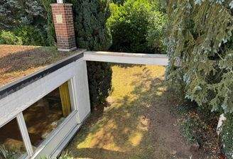 IMG-20250814-WA0016 - Kopie.jpg